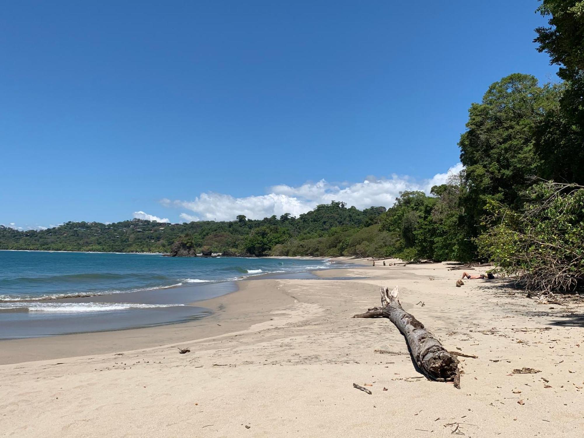 Hotel Playa Espadilla & Gardens Manuel Antonio Exterior photo