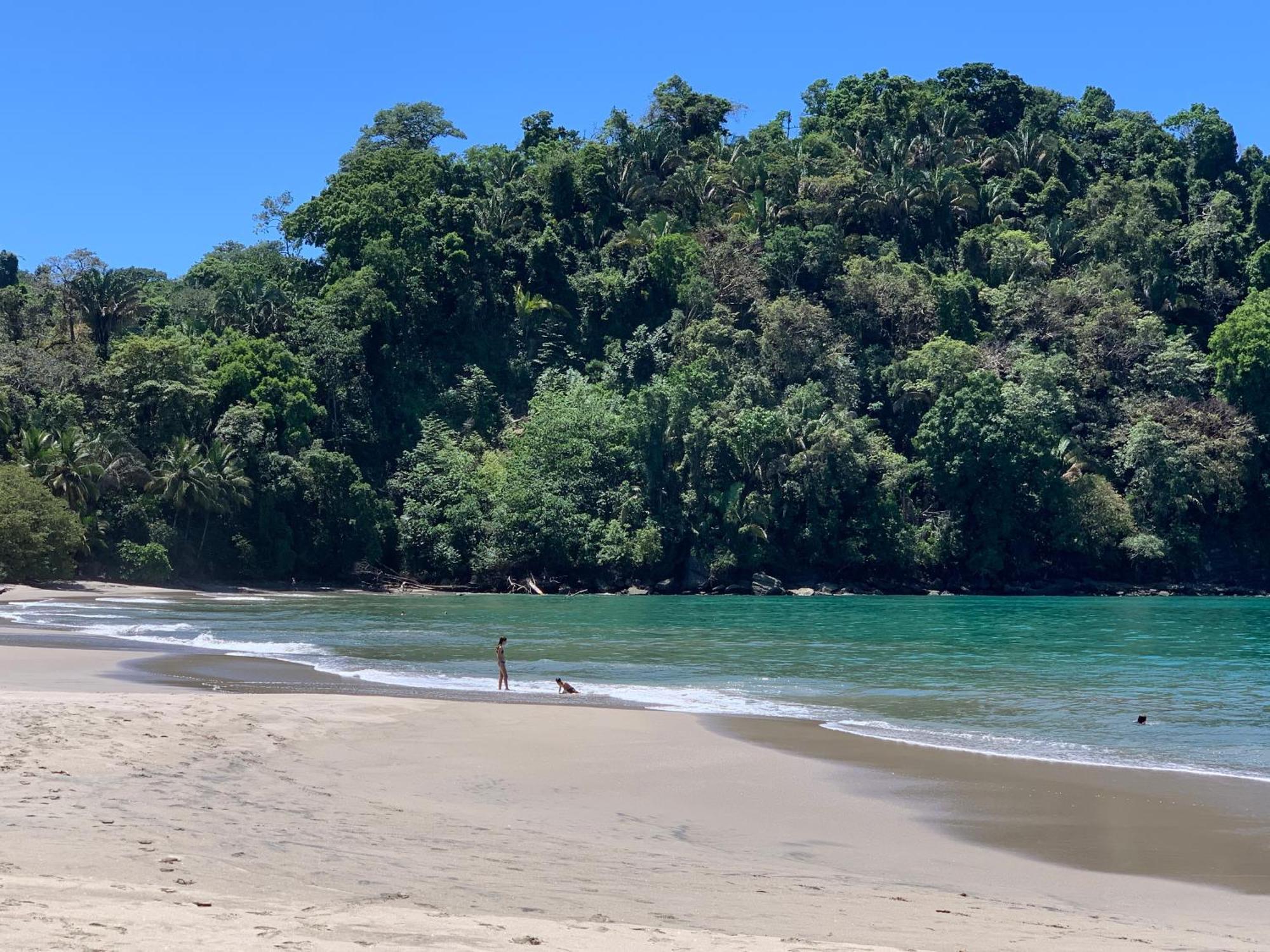 Hotel Playa Espadilla & Gardens Manuel Antonio Exterior photo